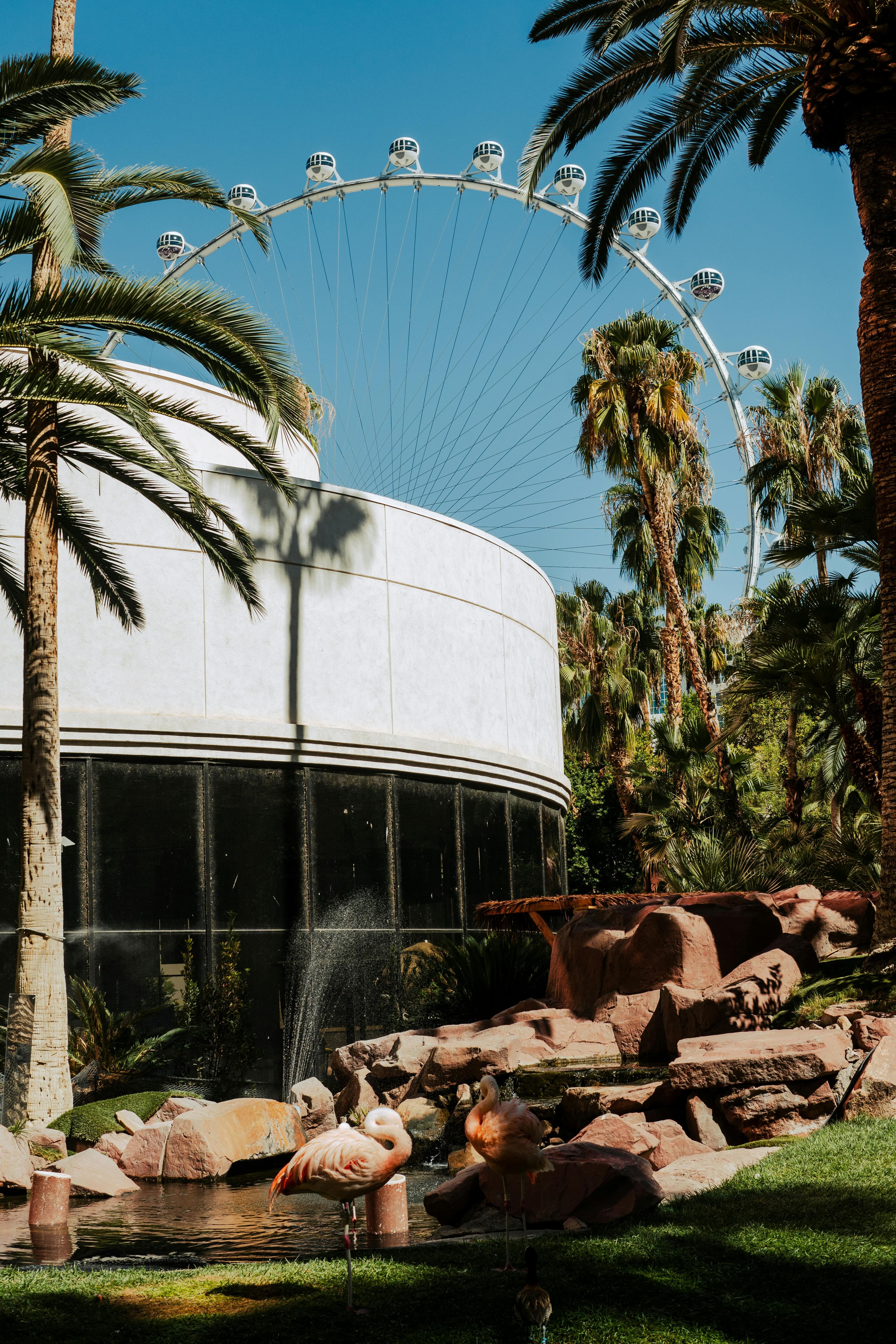 Flamingo Wildlife Habitat